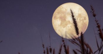 Der Mond: Einfluss auf Gezeiten, Meeresströmungen und Klima (Foto: AdobeStock -  jakkapan 345456870)