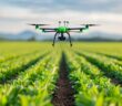 Karriere mit Zukunft – Precision Farming als Wachstumsmotor (Foto: AdobeStock - 913576282 Pachara)